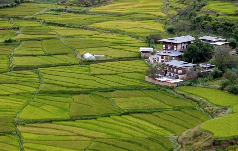 Authentic Bhutan Homestay Journey – 9 Days